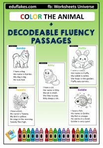 decodeable Fluency Passages